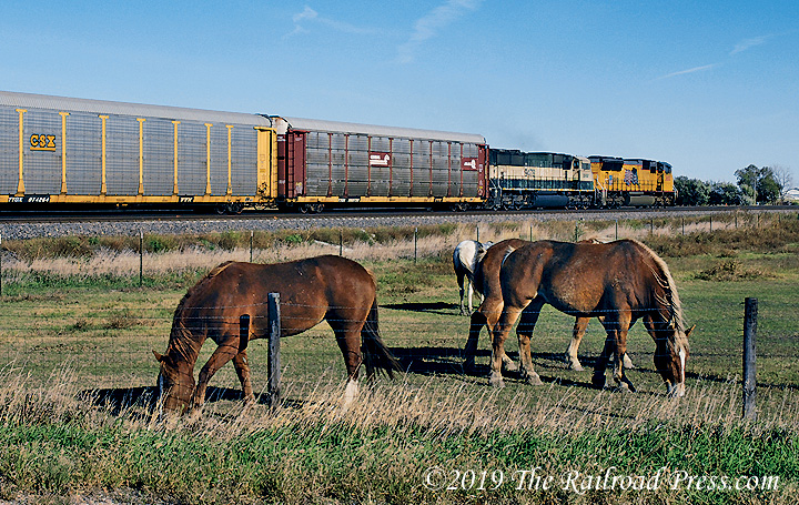 Union Pacific automobile train with BNSF and UP power passes horses grazing in a field at Willow Island, Nebraska